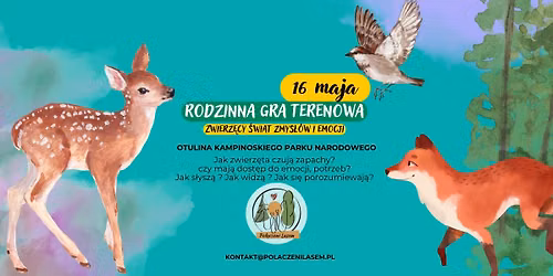 Rodzinna gra terenowa - ZWIERZ\u0118CY \u015aWIAT ZMYS\u0141\u00d3W I EMOCJI