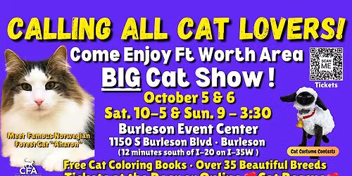 Cats at Wagon Wheel Center for the Arts