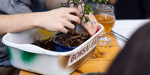 Bonsai Workshop at Sterling Street Brewery