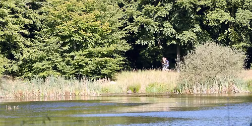 GUUT Summer Edition 2026, AKA Nu smider vi sgu fl\u00f8jlshandskerne