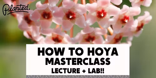 How To Hoya Master Class