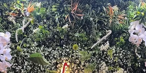 The Mediums at Volo Lounge