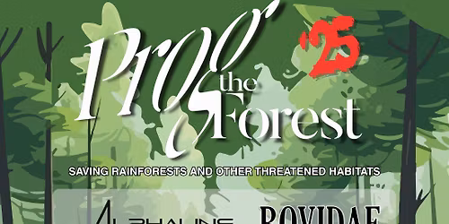 PROG THE FOREST'25: The charity one day progressive music event