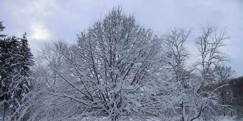 Wildlife Overwintering Strategies