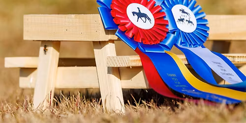 CHAMPIONSHIP SHOW - HRF Picnics and Ponies November 26th,  2025