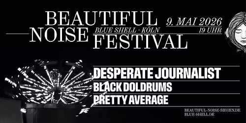 Beautiful Noise Festival XIII