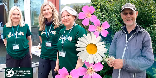 Plantedag - matplanter og andre ville vekster