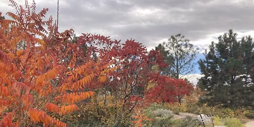 Fall Water-wise Garden Tour: Coffee & Colors 