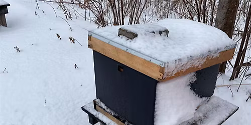 Beekeeping for Beginners \u2013 Fall\/Winter Workshop 4 of 4