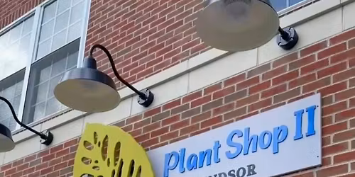 How to K*ll a Houseplant