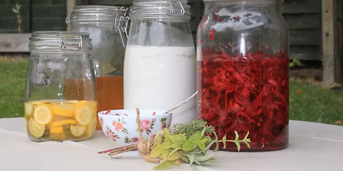 Fermented Foods for Health