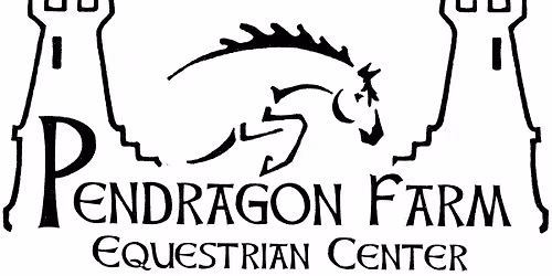 Pendragon Jumper Show 