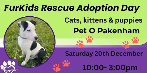 Adopt and Safe a life!!!