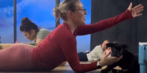 Puppy Yoga with South Slope Rescue