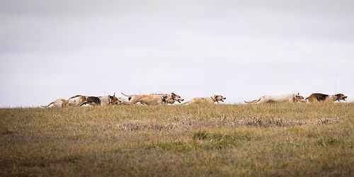 Hounds, Horses & Heritage-Join our 8 EZ Introduction to Foxhunting Clinic Series.