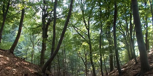 A V\u00e9rtes sz\u00edv\u00e9ben