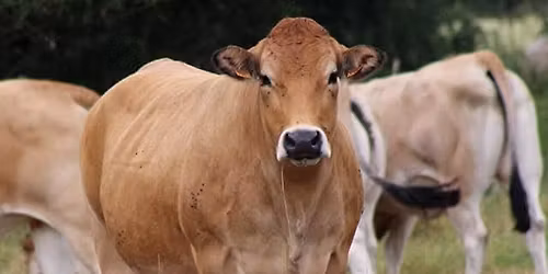porte ouverte \u00e0 la ferme de Lartois 
