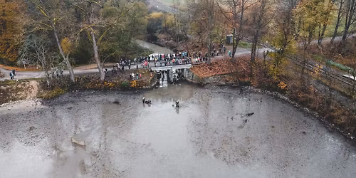 Ryb\u00e1\u0159sk\u00e1 slavnost pod z\u00e1mkem Lemberk \u2013 V\u00fdlov Dvorn\u00edho rybn\u00edka