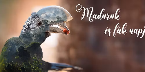 Madarak \u00e9s f\u00e1k napja