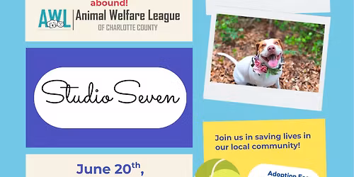 Studio Seven Adoption Event and Donation Drive