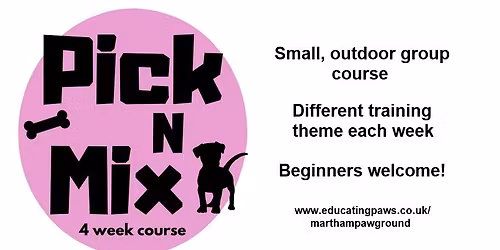 Pick N Mix 4 week course - mixed ability skills class - different theme for skills each week!