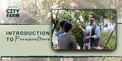 Introduction to Permaculture with Rod June 2026 (full day)