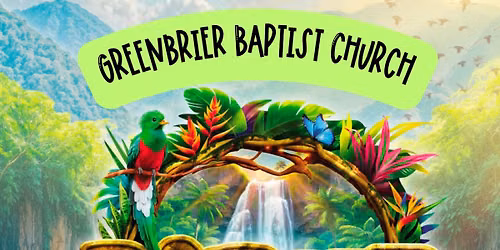 Rainforest Falls VBS