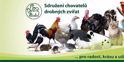 CELOST\u00c1TN\u00cd V\u00ddSTAVA MLAD\u00c9 DR\u016eBE\u017dE A MLAD\u00ddCH KR\u00c1L\u00cdK\u016e