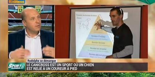 Stage canicross canivtt Trott