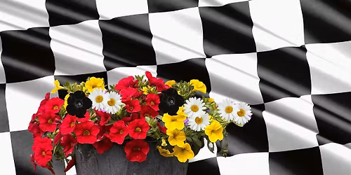Indy 500 Porch Pot Workshop