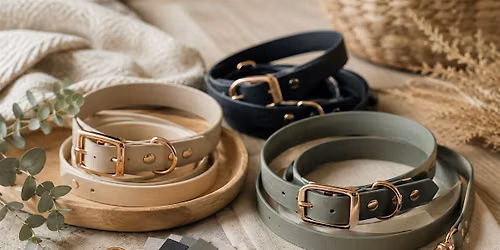 DIY  Leine & Halsband Workshop