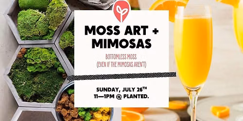Moss Art + Mimosas
