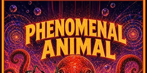Phenomenal Animal | Cage Brewing, St. Petersburg, FL