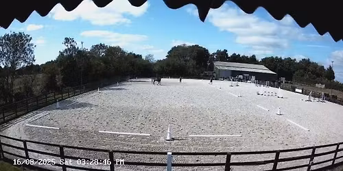 unfililated Dressage with Jackie Staff 