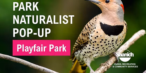 Park Naturalist Pop-up and Nature Walk - Playfair Park
