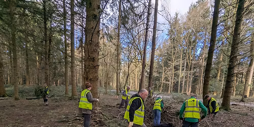 Wyre Forest Recreation Volunteer Group