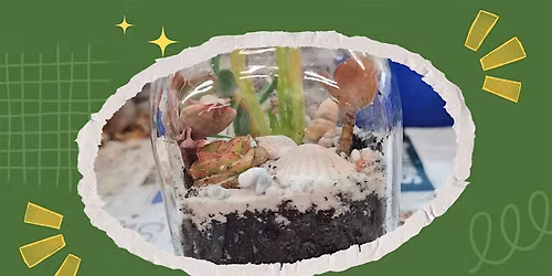 Upcycled Terrarium Worlds