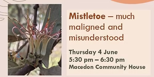 Native Mistletoe Presentation