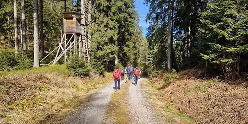 Singlewanderung: Freiburg - Tuniberg-Runde mit Aussicht & Auszeit (30+)