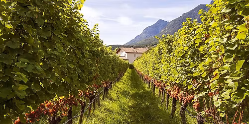 Ma\u0142o Znane Wina W\u0142oskie - Wroc\u0142awskie Warsztaty Wina \/ BRAK Miejsc