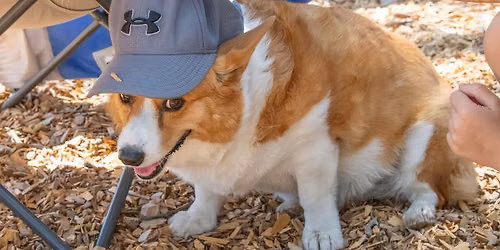 RRUFF Dog Park - Big Meet