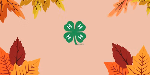 Randolph County Achievement Night