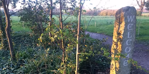 Volunteer Working Party Session