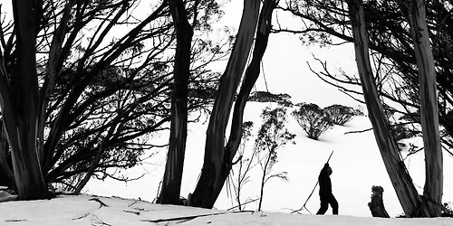 Cellular Intimacies - Exhibition Opening