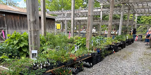 Spring Native Plant Sale