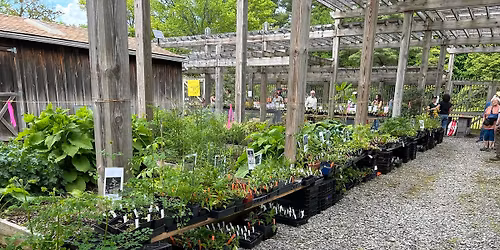 Spring Native Plant Sale