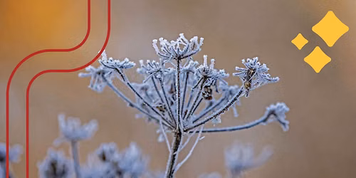 Creating Winter Wildlife Sanctuaries