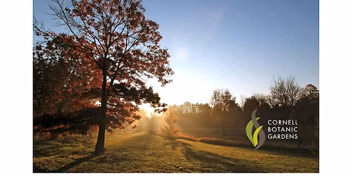 Fall Colors Walk — Outdoors & nature in F.R. Newman Arboretum