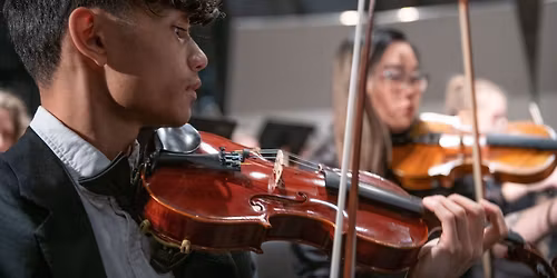 Chamber Orchestra Concert