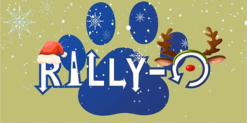 Miko\u0142ajkowy darmowy trening Rally-o